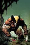 Wolverine (2020) #41 (Variant) cover