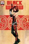 Black Widow (2020) #13 (Variant) cover