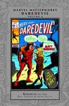 MARVEL MASTERWORKS: DAREDEVIL VOL. 6 HC (Trade Paperback) cover