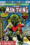 Man-Thing (1974) #22 cover