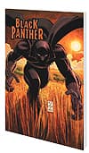 BLACK PANTHER: WHO IS THE BLACK PANTHER (Trade Paperback) cover