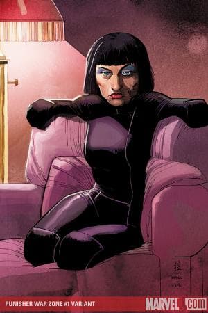 Punisher: War Zone (2008 - 2009)