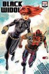 Black Widow (2020) #13 (Variant) cover