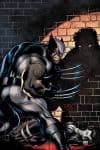 Hulk (2008) #17 (MCGUINNESS VARIANT) cover