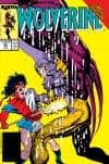 Wolverine (1988) #20 cover