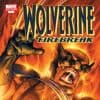 Wolverine: Firebreak One-Shot (2007) #1