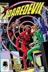 Daredevil (1964) #205 cover