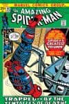 The Amazing Spider-Man (1963) #107 cover