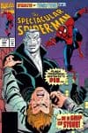 Peter Parker, the Spectacular Spider-Man (1976) #205 cover
