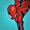 Spider-Man (House of M)