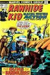 Rawhide Kid (1955) #127 cover