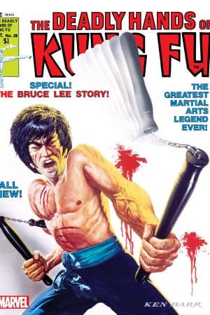 Deadly Hands of Kung Fu (1974) #28
