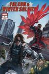 Falcon & Winter Soldier (2020) #1 (Variant) cover