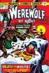 Werewolf by Night (1972) #31 cover