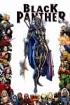 Black Panther (2009) #7 (70TH FRAME VARIANT) cover