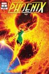 Phoenix (2024) #4 (Variant) cover