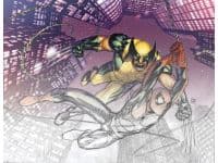 Astonishing Spider-Man & Wolverine (2010) #1 (Director's Cut) cover