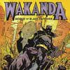 Wakanda: World Of Black Panther Omnibus (Trade Paperback)