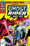 Ghost Rider (1973) #19 cover