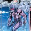 X Deaths of Wolverine (2022) #2 (Variant)