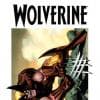Wolverine (2010) #313 (Tbd Artist Variant)