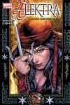 Elektra (2001) #31 cover