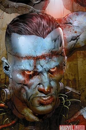 Punisher (2009) #10 (REST IN PIECES VARIANT)