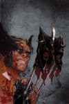 Shadowland (2010) #5 (CHRISTOPHER VARIANT) cover