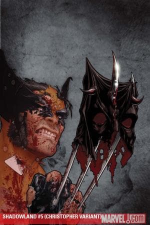 Shadowland (2010) #5 (CHRISTOPHER VARIANT)