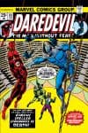 Daredevil (1964) #118 cover
