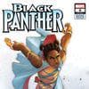 Black Panther (2023) #9 (Variant)