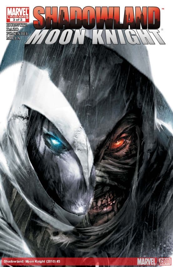 Shadowland: Moon Knight (2010) #3