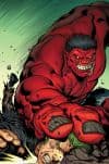 Hulk (2008) #18 (MCGUINNESS VARIANT) cover