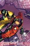 Astonishing Spider-Man & Wolverine: Another Fine Mess (2011) #1 cover