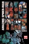 Amazing Spider-Man (1999) #652 (2nd Printing Variant) cover