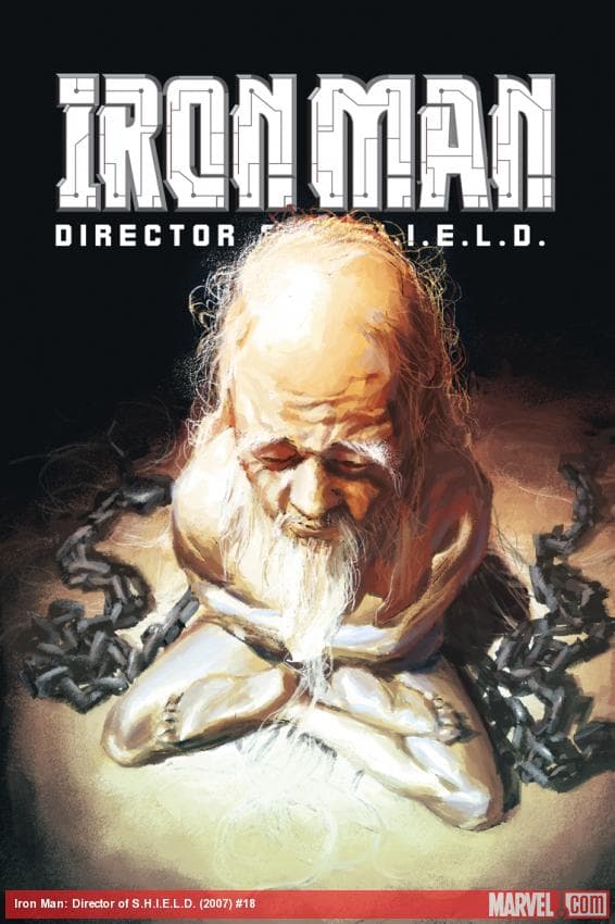 Iron Man: Director of S.H.I.E.L.D. (2007) #18