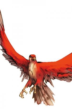 Redwing