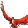 Redwing