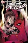 Amazing Spider-Man (1999) #627 cover