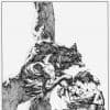 Dark Tower: The Long Road Home (2008) #3 (Sketch Variant)