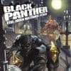 Black Panther: The Man Without Fear (2010) #513