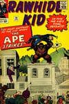 Rawhide Kid (1955) #39 cover