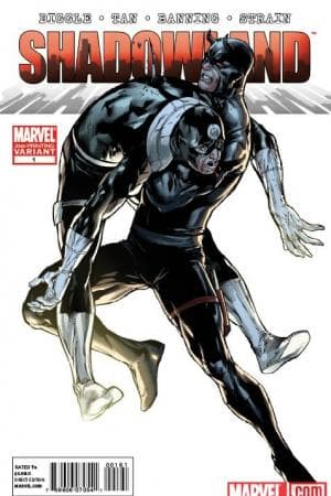 Shadowland (2010) #1 (2ND PRINTING BULLSEYE ASSAULT VARIANT)