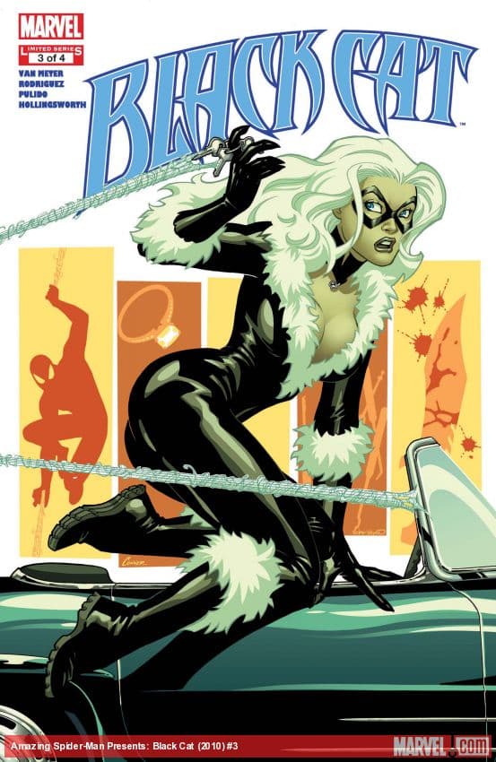 Amazing Spider-Man Presents: Black Cat (2010) #3