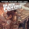 Black Panther: The Man Without Fear (2010) #519