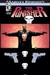 Punisher (2001) #20 cover