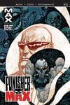 Punishermax (2009) #10 cover