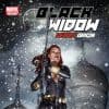 Black Widow: Deadly Origin (2009) #2