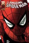 Amazing Spider-Man (1999) #623 cover