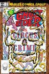 Ghost Rider (1973) #73 cover